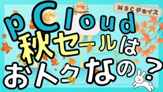 pCloud秋のセールはおトクなのかを検証する記事のアイキャッチ｜満月と紅葉のイラスト