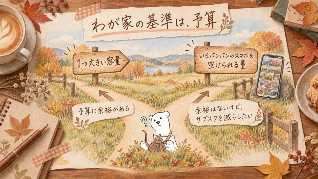 pCloud個人プランの容量の決め方｜予算に余裕があれば1つ大きい容量、サブスクを減らしたいならスマホを空けられる量