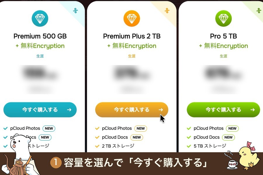 pCloudの申し込みの流れを動画で見る（音なし・20秒）